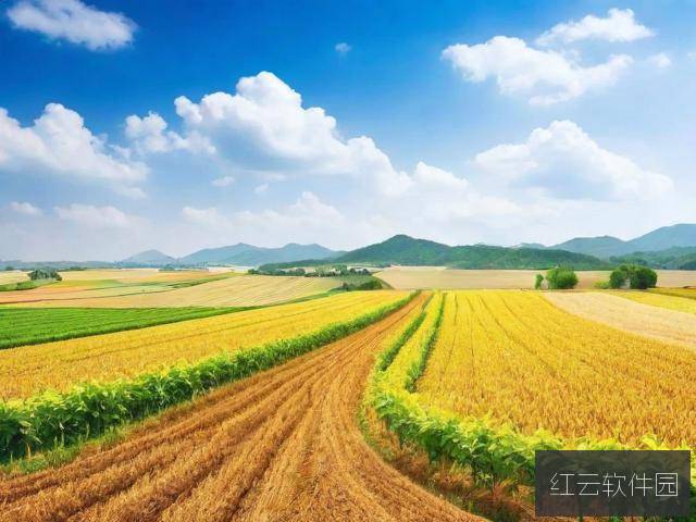 亚洲一线产区与二线产区的区别分析