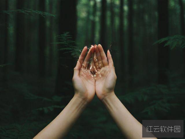 手不安分地探入森林，欲望、探索与隐秘的欢愉